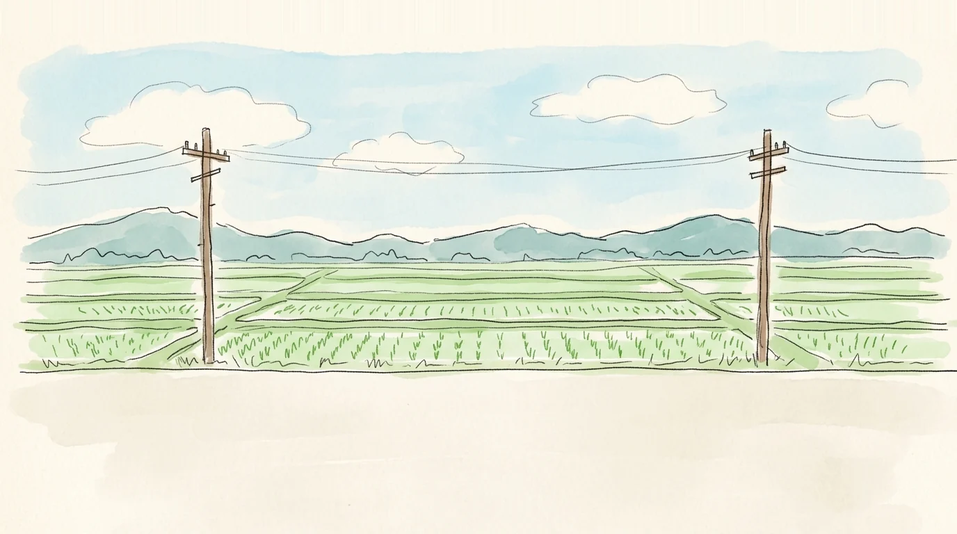 田んぼのあぜ道